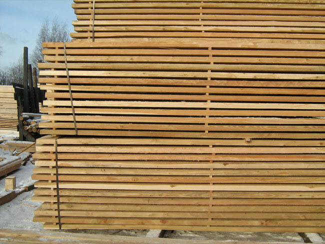 Larch from Irkutsk region (natural humidity, SF quality)